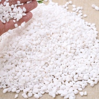 Đá sỏi trắng trắng trí rải mặt chậu cây