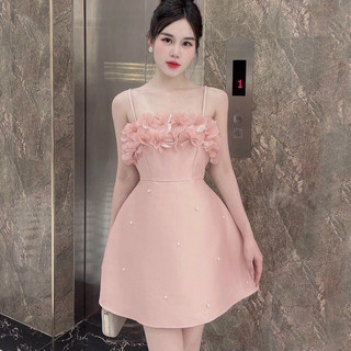 Đầm tapta nữ