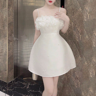 Đầm tapta nữ