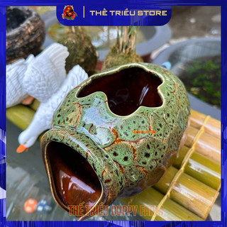 Bình nước trang trí bể cá, tiểu cảnh