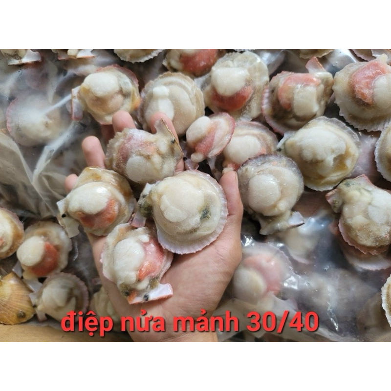 SÒ ĐIỆP TÁCH NỬA MẢNH bịch 1kg (giao tphcm)