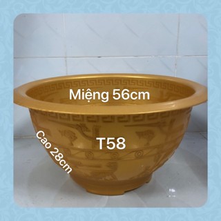 Chậu nhựa truyền thống t58 trồng cây màu vàng đồng 56x28
