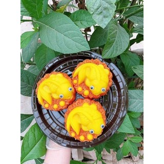 Hộp đựng bánh , xôi , cá chép