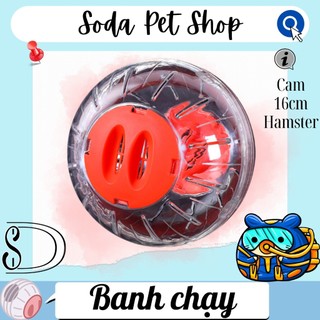 Banh Chạy 16cm Cho Hamster