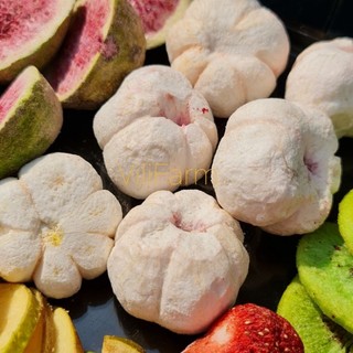 Măng cụt sấy giòn