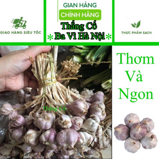 Tỏi quê ba vì 1kg hút chân không