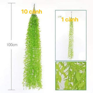 cúc Tần Ấn Độ, cành lá giả decor