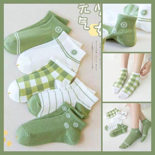 [ Rẻ vô địch ] Set 5 đôi tất bơ xinh xẻo