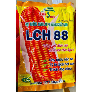 Hạt giống ngô lai f1 lch88 gói 1kg.