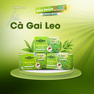 Trà Cà Gai Leo  60 Túi Lọc Giải độc - Mát gan