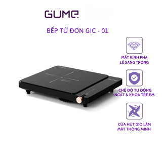 Bếp từ đơn GUME GIC LITE-01
