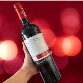 Vang đỏ Amore de Chile 750ml