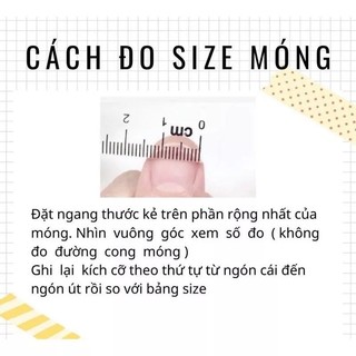 nailbox sơn trơn