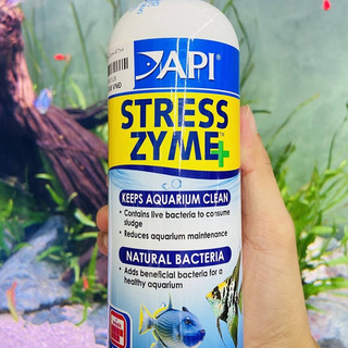 VI SINH SỐNG CAO CẤP API STRESS ZYME+