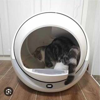 Máy Vệ sinh hốt phân mèo tự động xịn sò