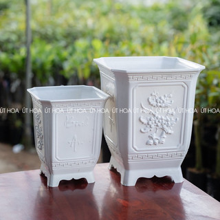 Chậu nhựa Vuông tứ quý trồng cây cảnh