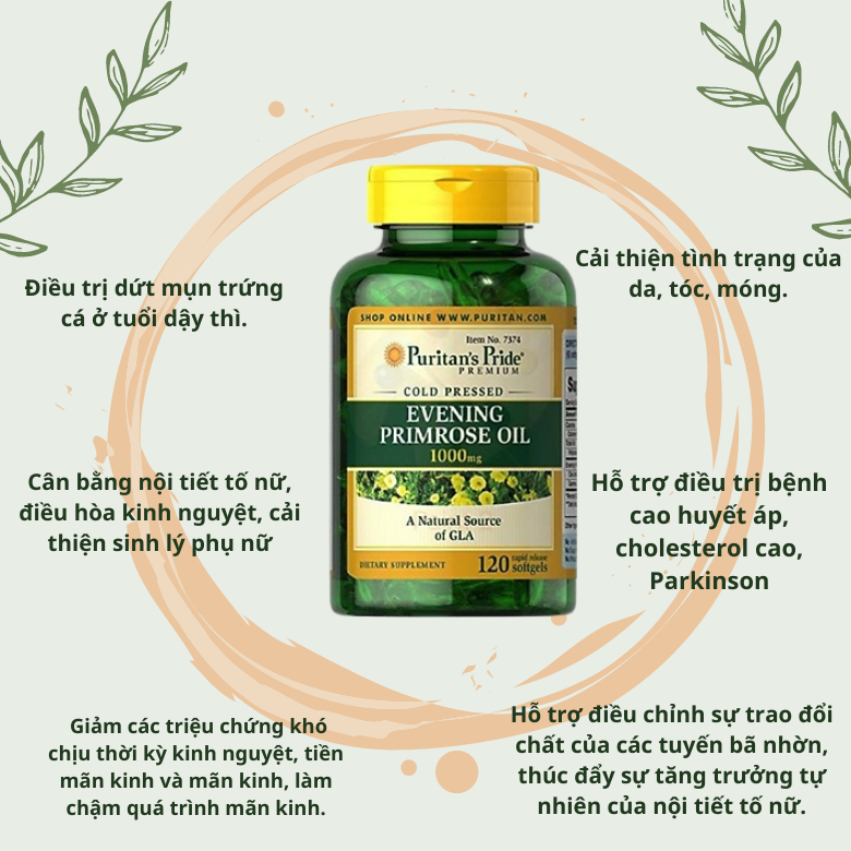 Dầu hoa anh thảo Healthy Care puritan's pride evening primrose oil 1300mg hộp 120 viên Extate Official Mall