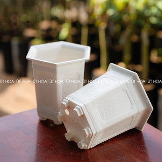 Chậu lục giác trắng trồng hoa kiểng nhựa dày