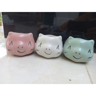Chậu trồng sen đá xương rồng
