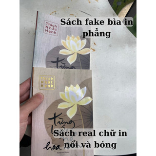 Sách - Từng Bước Nở Hoa Sen (Bìa mềm)