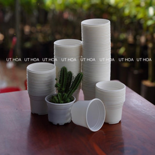 Combo 50/100 chậu nhựa trắng 105x80mm (Size nhỏ nhất) trồng sen đá, ươm cây