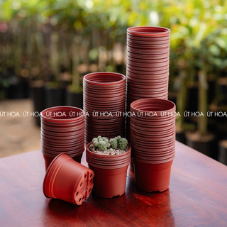 Sỉ 50/100 chậu nhựa nâu 105x80 mm trồng sen đá, xương rồng, hoa kiểng