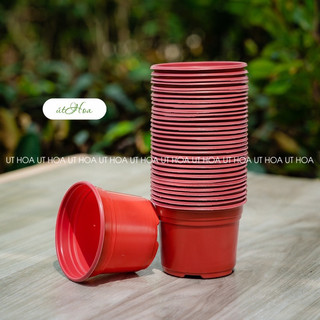 Chậu nhựa nâu Vành miệng cứng 105x80 mm trồng cây, ươm cây