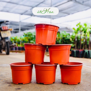 Set 5 chậu nhựa nâu 105 x 80 - vành miệng cứng
