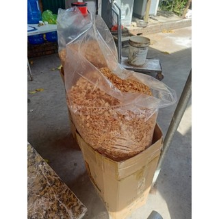 Hành ta phi Kinh Môn, Hải Dương