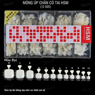 móng úp chân hsm phom chuẩn hộp 500 móng