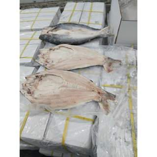 Cá BaSa nguyên con xẻ bướm 1kg (giao tphcm)