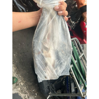 Cá BaSa nguyên con xẻ bướm 1kg (giao tphcm)