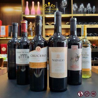 Combo vang BBQ, combo 6 chai vang nhập khẩu Pháp, Ý, Tây Ban Nha, Chile giá siêu hấp dẫn - Wine Wander