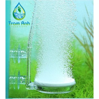 Đĩa sủi oxy voonline - cốc sủi ôxy siêu mịn
