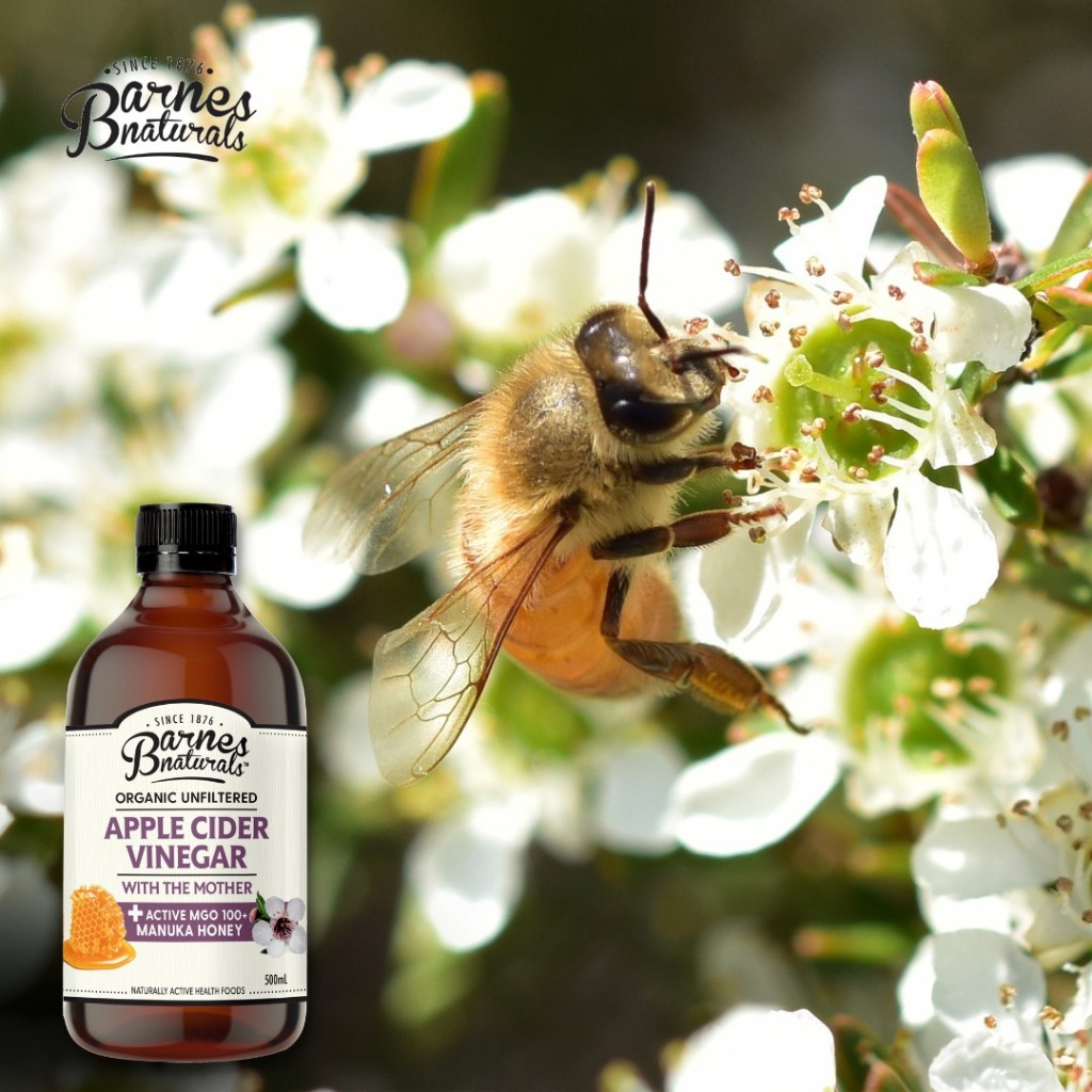 vn 11134207 7r98o lq6it7s46u5zd0