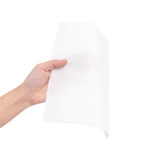 2 cuộn khăn giấy lau bếp Softly 2 lớp