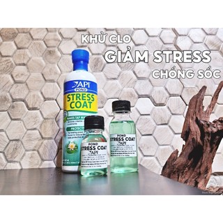 Api stress coat pond | khử clo - giảm tress - chống sốc cho cá cảnh