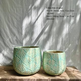 Chậu gốm trồng cây dẻ quạt Tròn Tròn Saigon