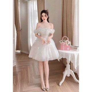 Đầm lưới nữ