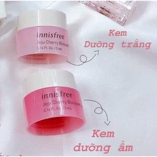 CĂP KEM DƯỠNG ẨM TRẮNG DA INNISFREE HOA ANH ĐÀO ( HÀN QUỐC)