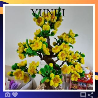 Kẽm nhung chậu hoa mai cành đào cành quýt cành hồng cành nụ tầm xuân