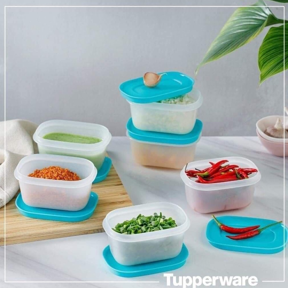 Lẻ Hộp trữ đông dẻo Mini Freezermate 170ml Tupperware bảo quản đồ ăn dặm, trữ thịt, tôm nấu canh, nhựa nguyê