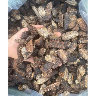 Quả nhàu khô 1kg