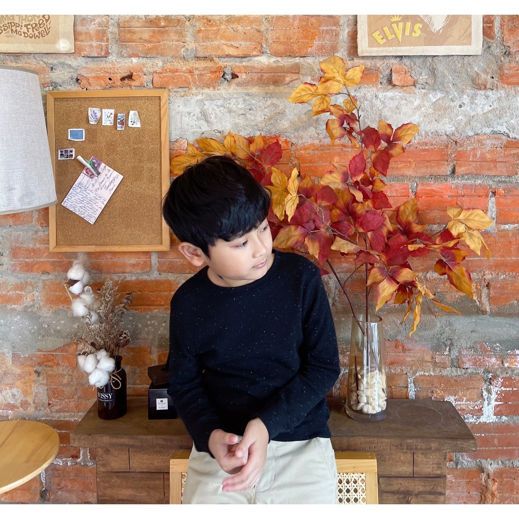 Áo dài tay bé trai size đại chất cotton len xuất dư xịn siêu đẹp Dragon Kids