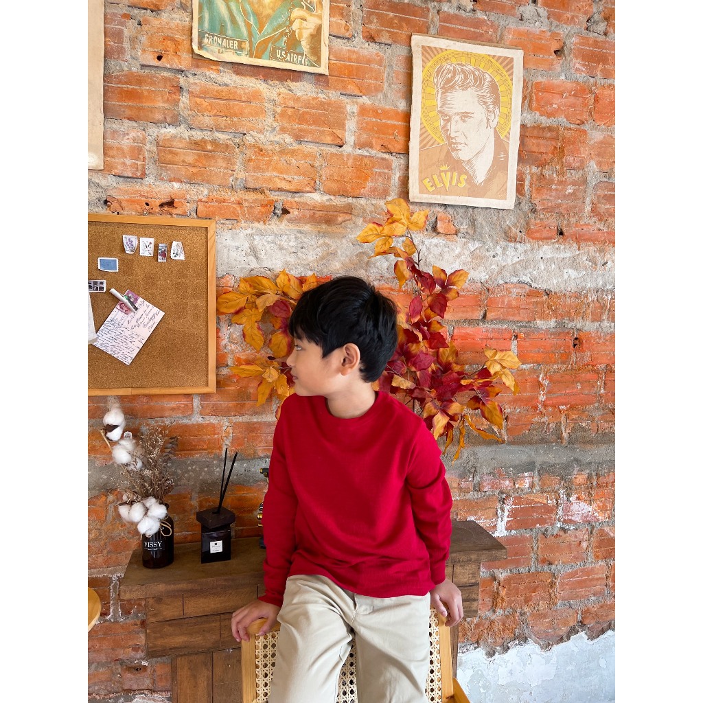 Áo dài tay bé trai size đại chất cotton len xuất dư xịn siêu đẹp Dragon Kids