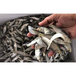 Cá trích khô 1kg