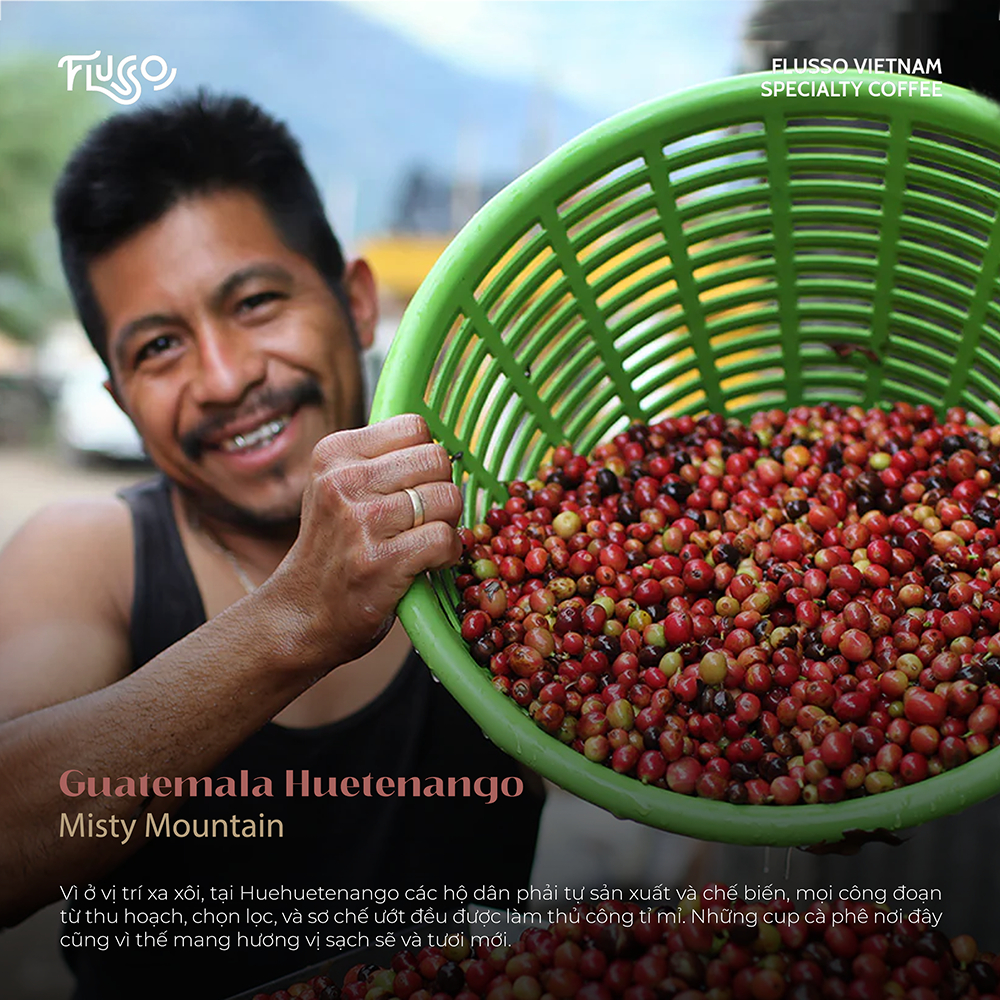 Cà phê Espresso Guatemala Huetenango Misty Mountain