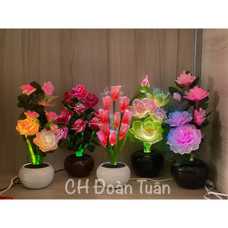 Chậu hoa đèn LED để bàn trang trí - nhiều mẫu