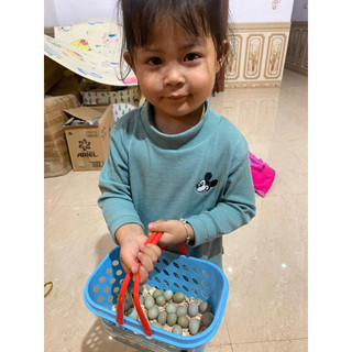 Trứng gà rutin