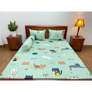 Bộ ga giường thun lạnh Hàn Quốc 4 món nệm 3-25cm (xem mô tả )